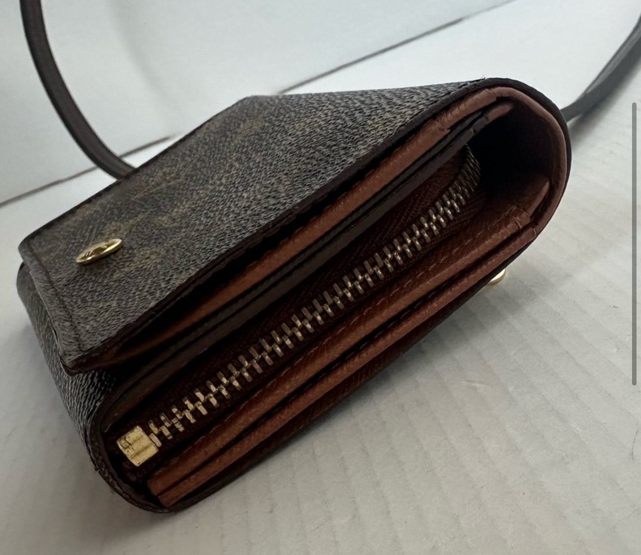 Louis Vuitton Porte-Monnaie Billets Tresor WOC crossbody