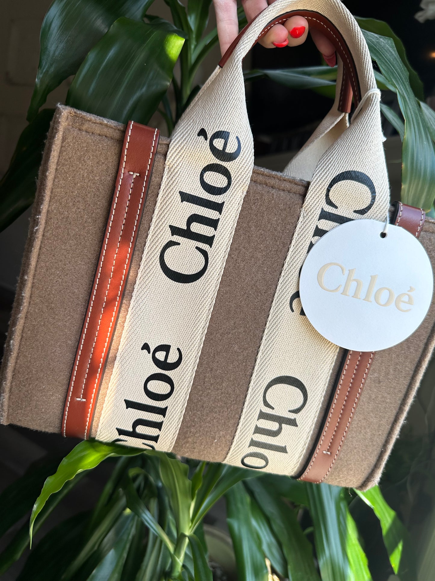 Chloe Brown Small WOOL Woody Tote