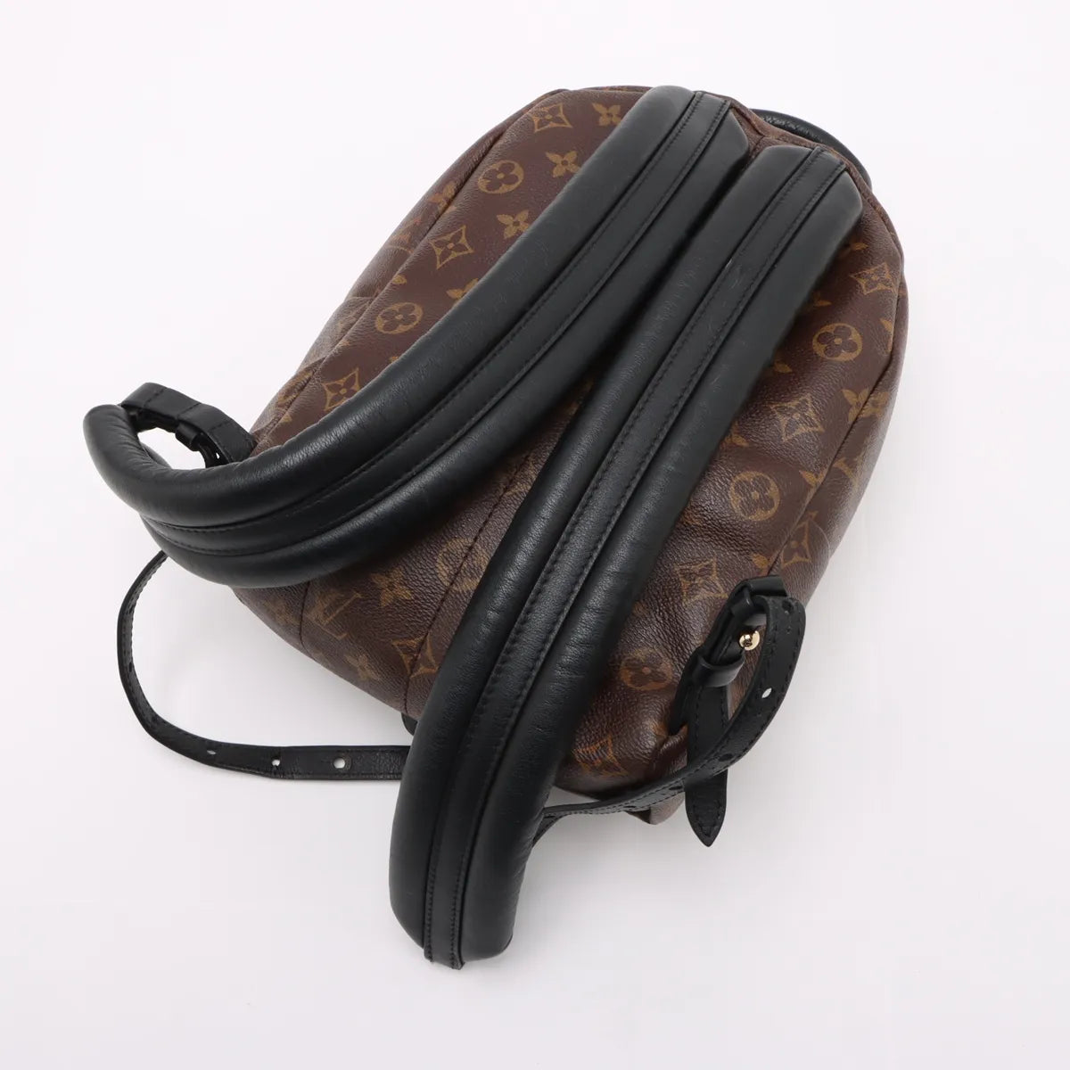 Louis Vuitton Reverse Monogram Palm Springs  Backpack PM