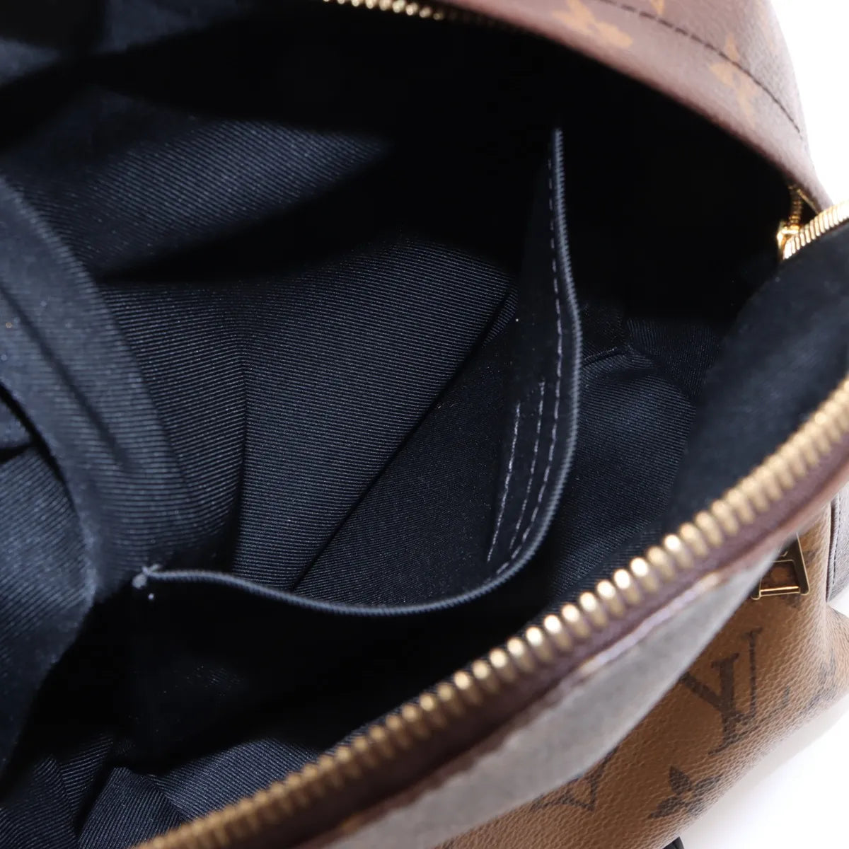 Louis Vuitton Reverse Monogram Palm Springs  Backpack PM