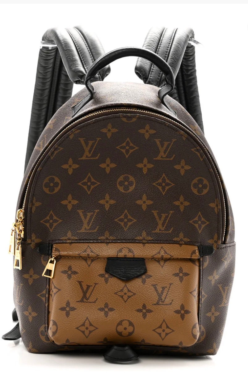 Louis Vuitton Reverse Monogram Palm Springs  Backpack PM