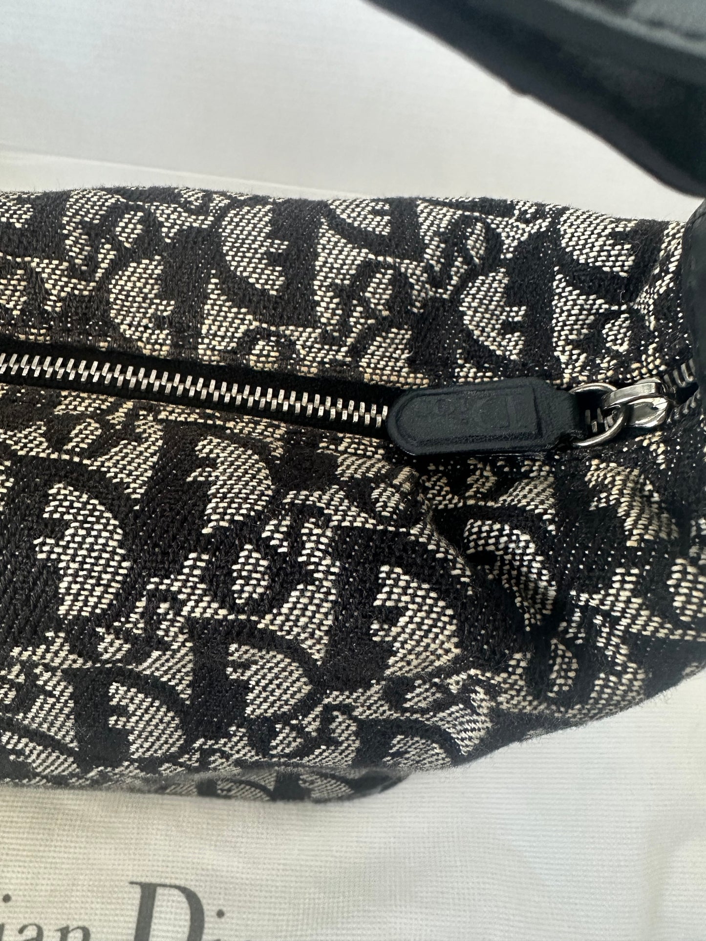 Christian Dior mini trotter tote