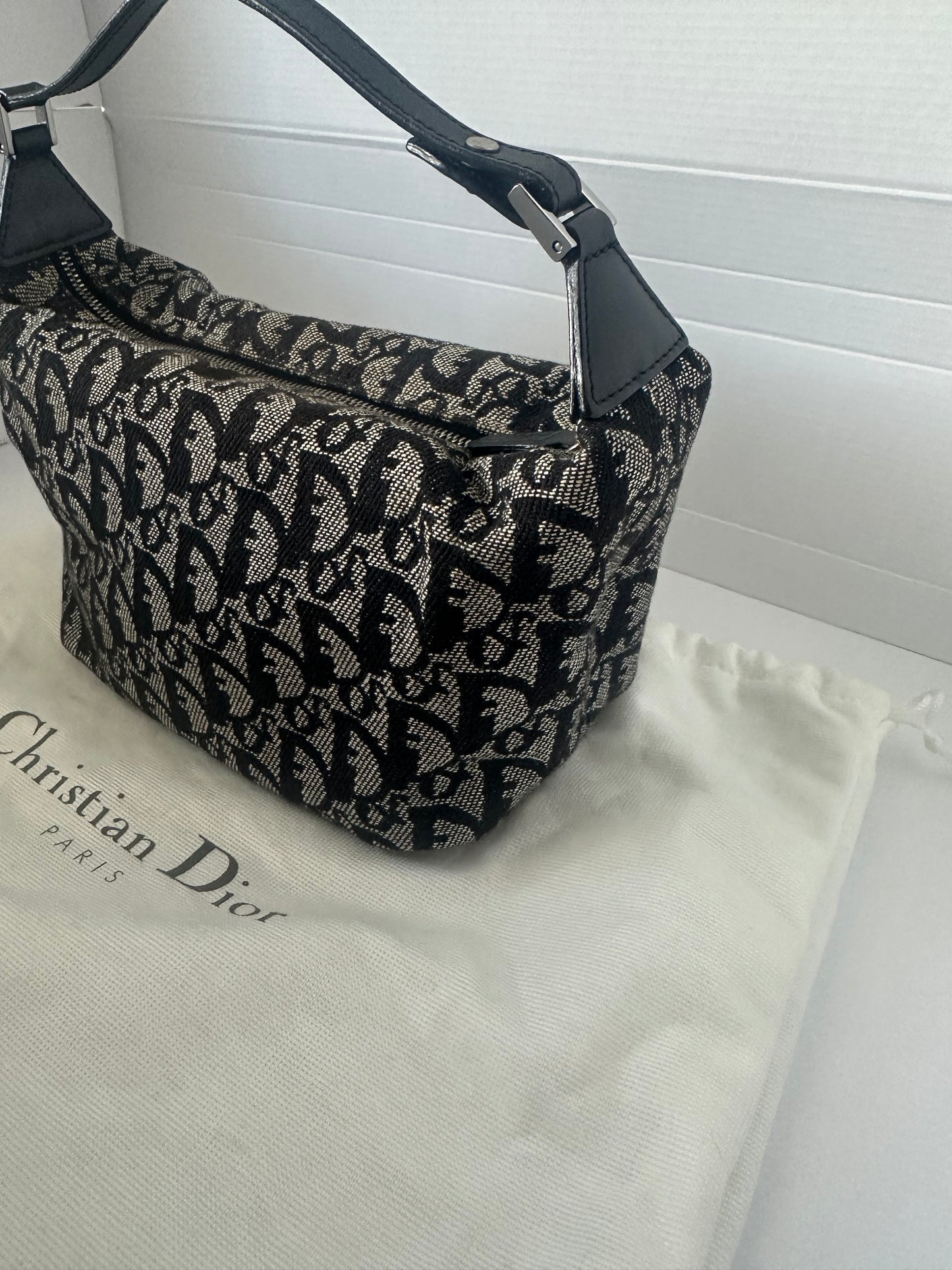 Christian Dior mini trotter tote