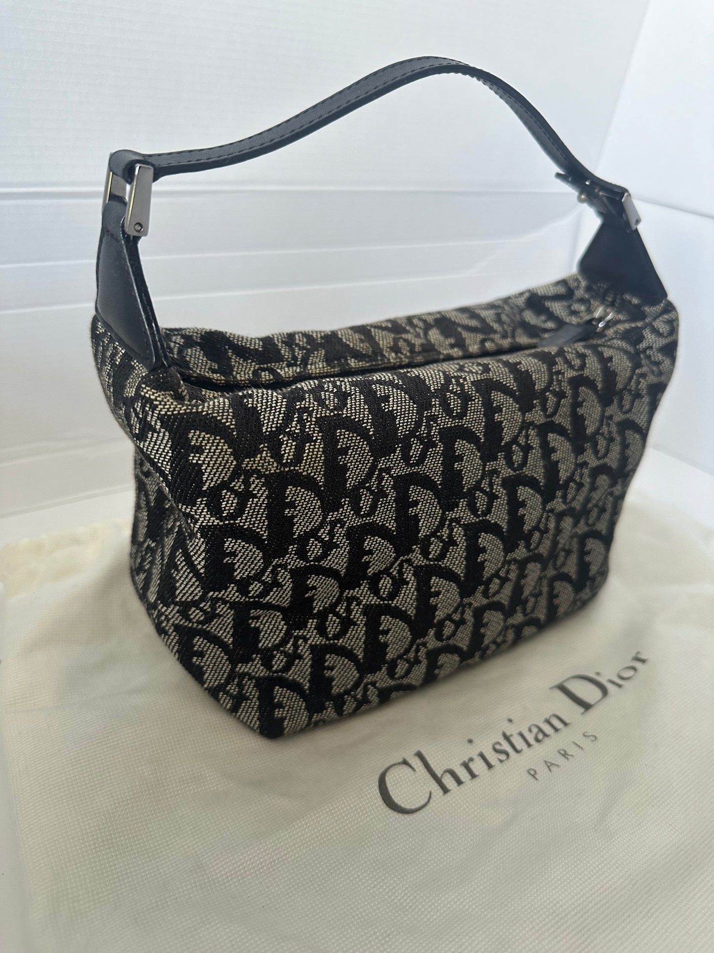 Christian Dior mini trotter tote