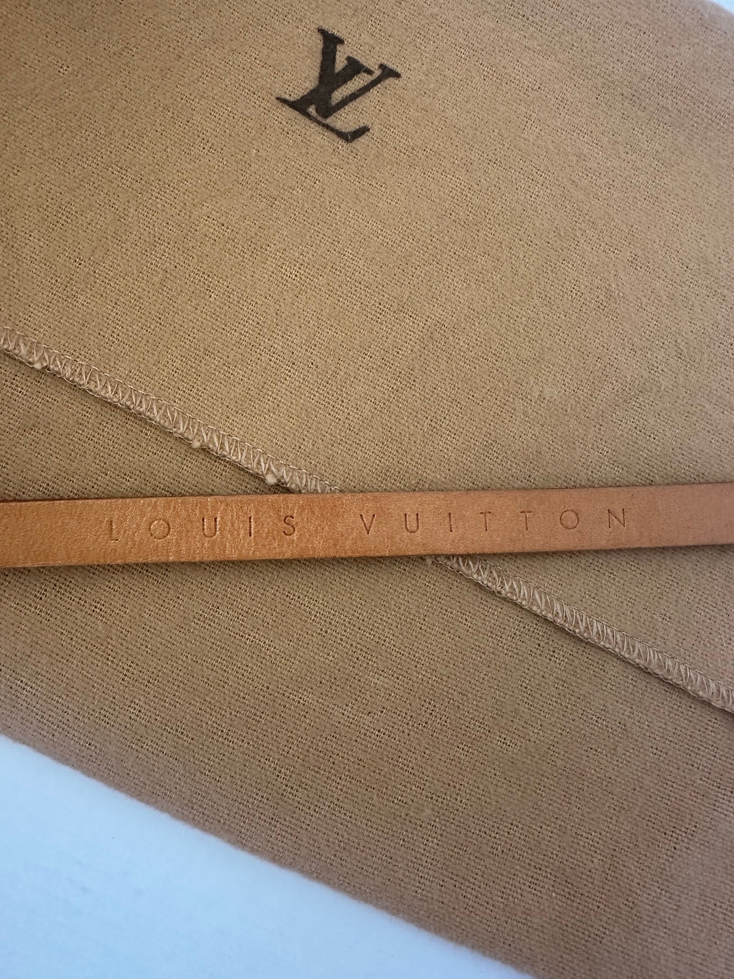 Louis Vuitton Monogram Pochette Florentine belt Bum Bag #XS