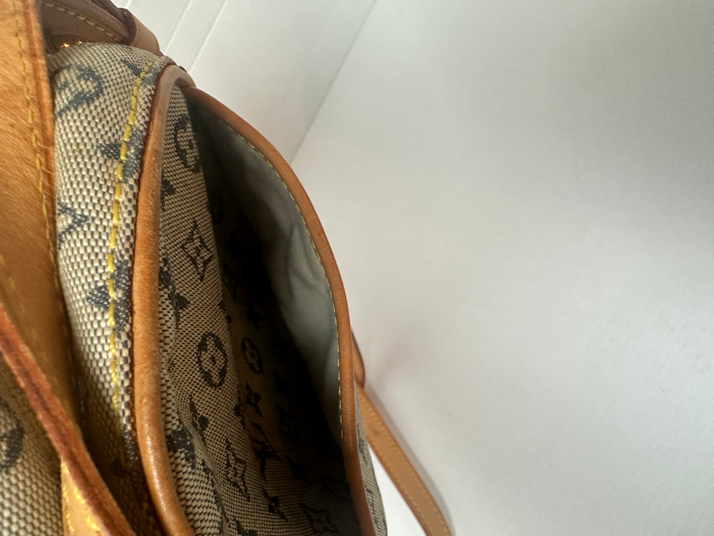 Louis Vuitton Mini Lin Jeanne PM crossbody