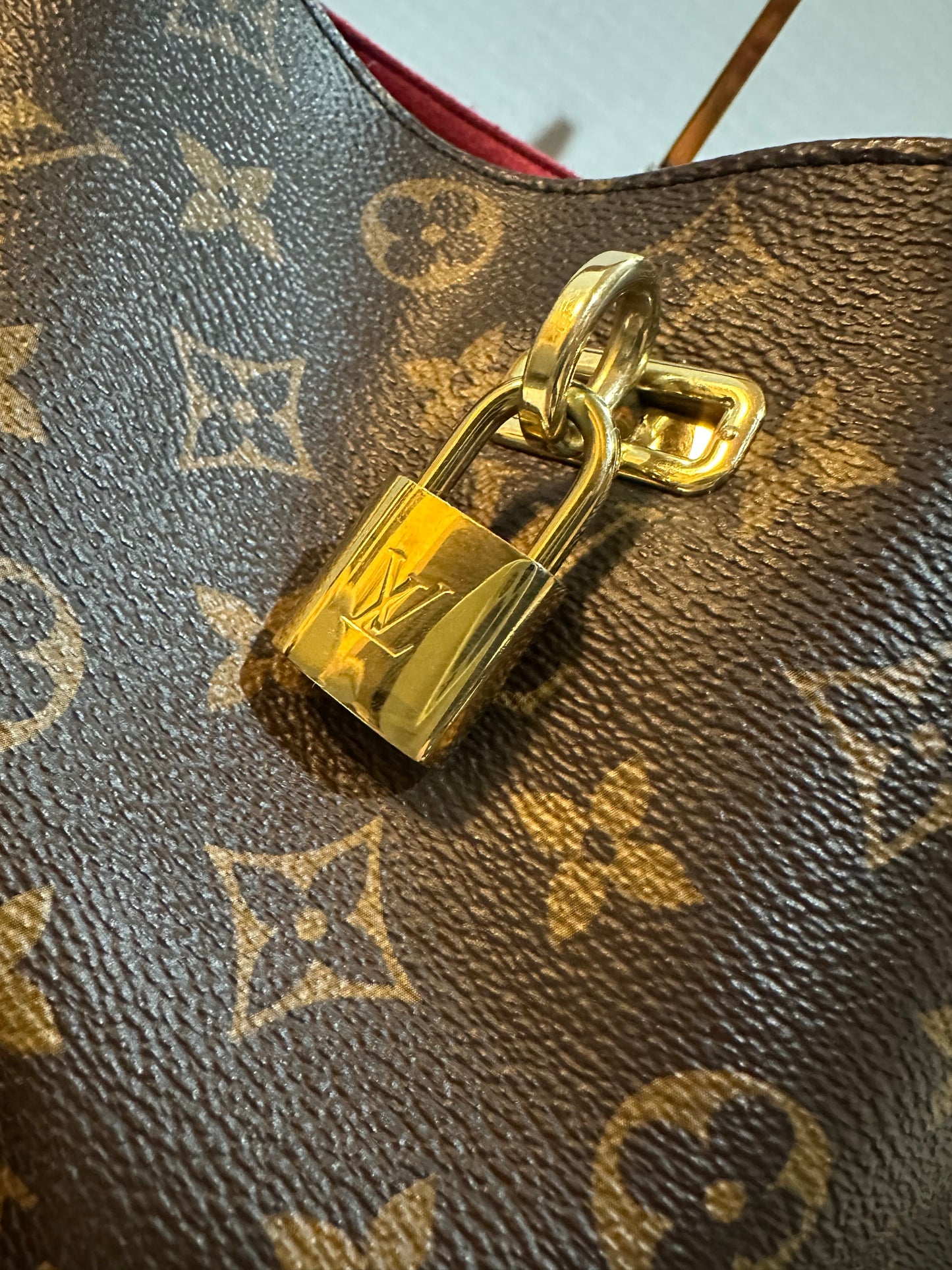 Louis Vuitton Monogram Gaia Noir Hobo Bag