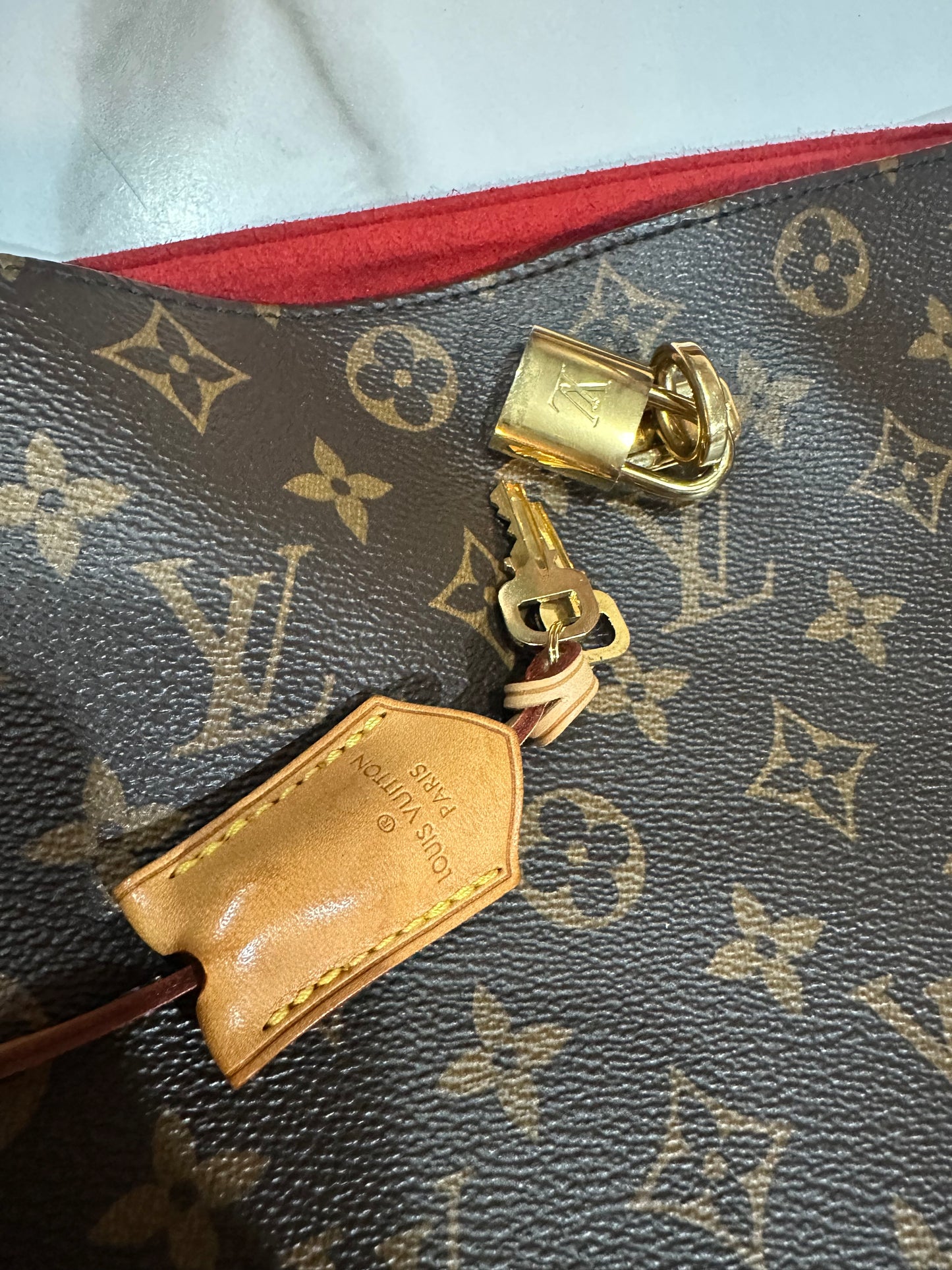 Louis Vuitton Monogram Gaia Noir Hobo Bag