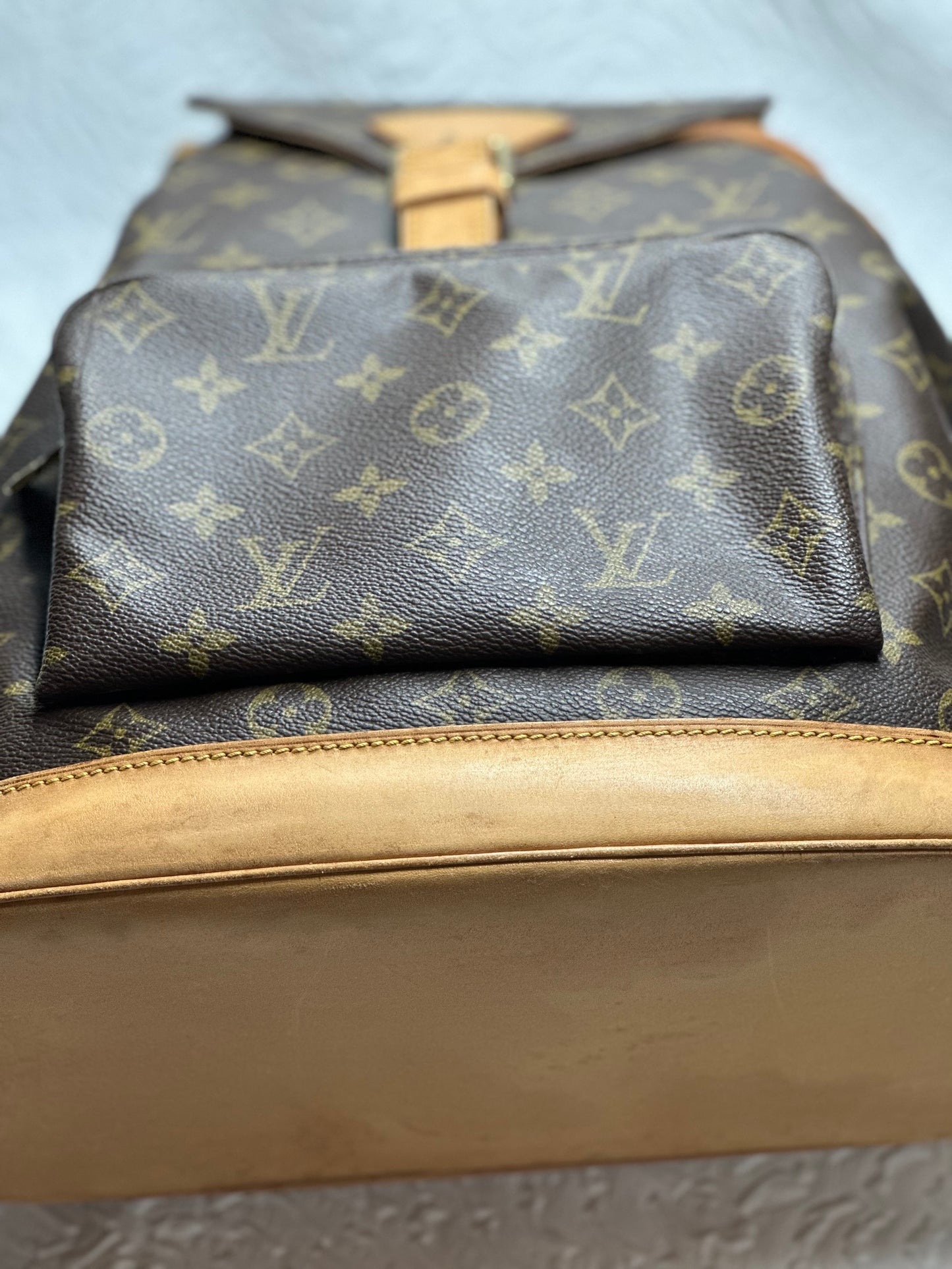 LOUIS VUITTON Monogram Canvas Montsouris Backpack