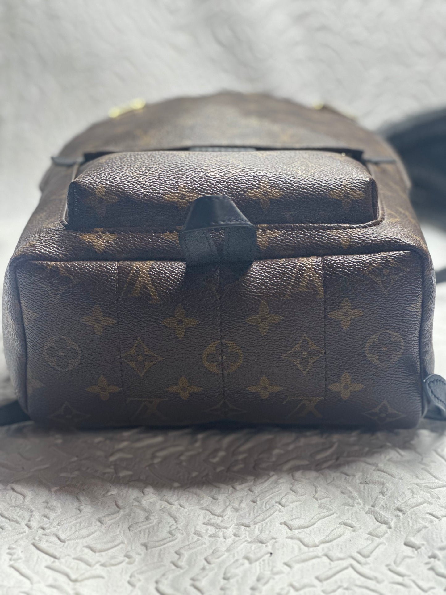 Louis Vuitton Palm Spring PM