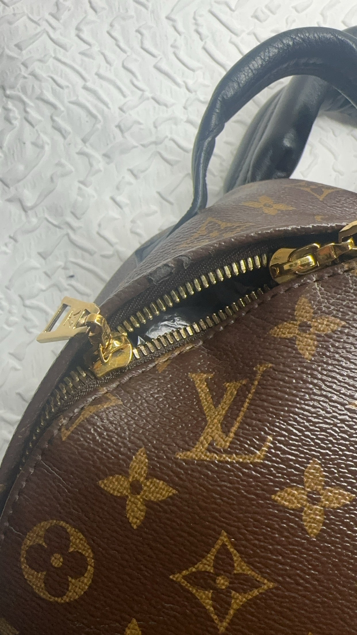 Louis Vuitton Palm Spring PM