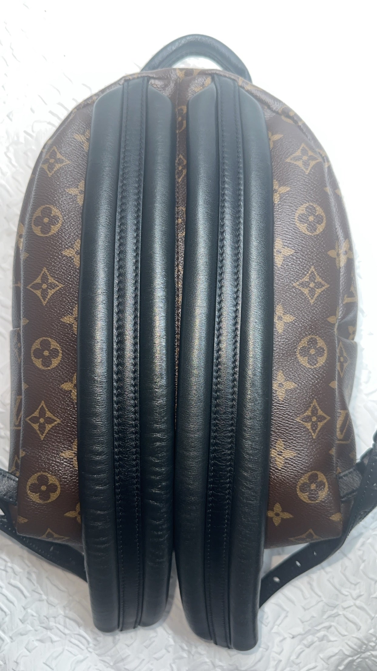 Louis Vuitton Palm Spring PM