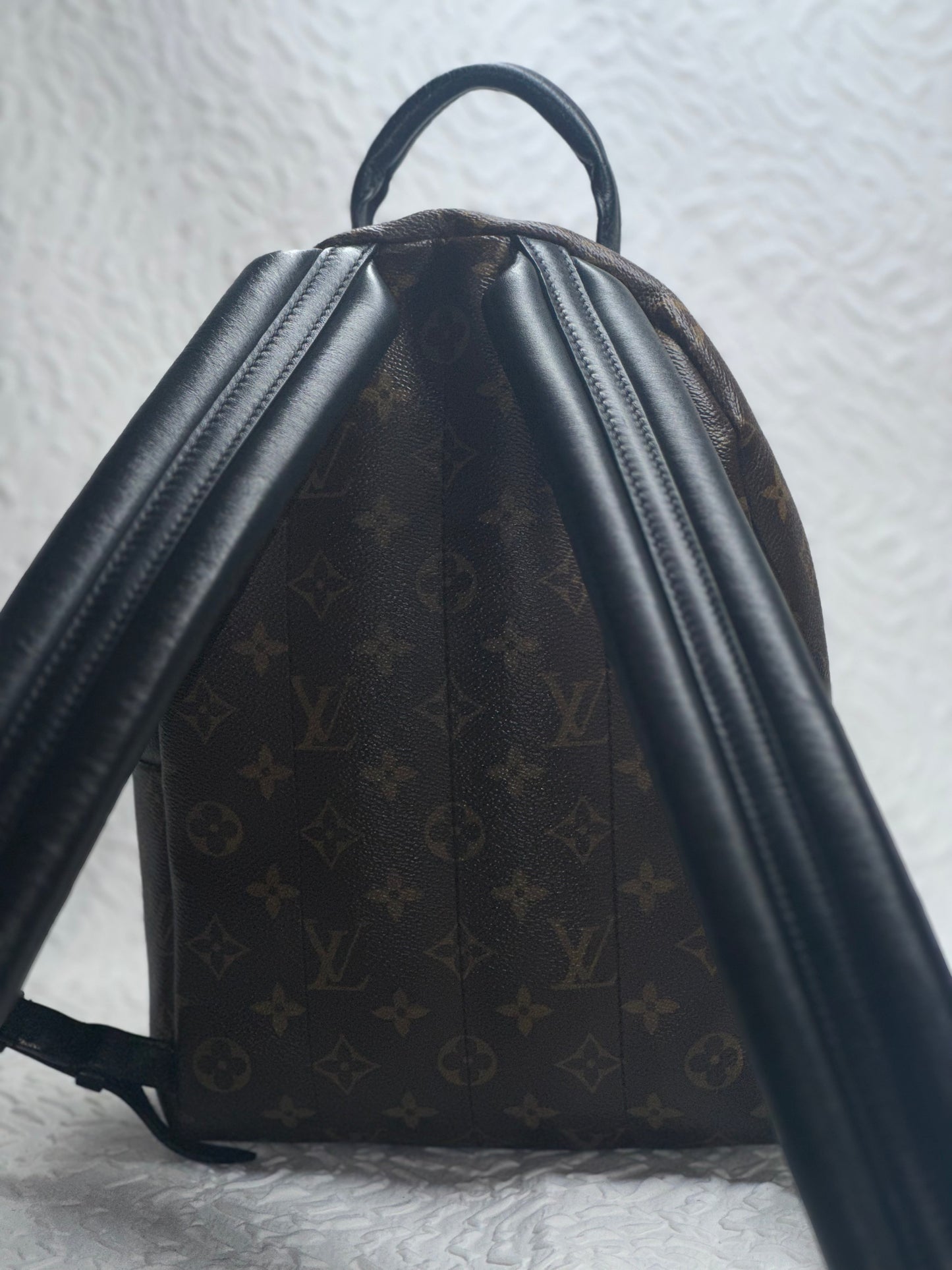 Louis Vuitton Palm Spring PM