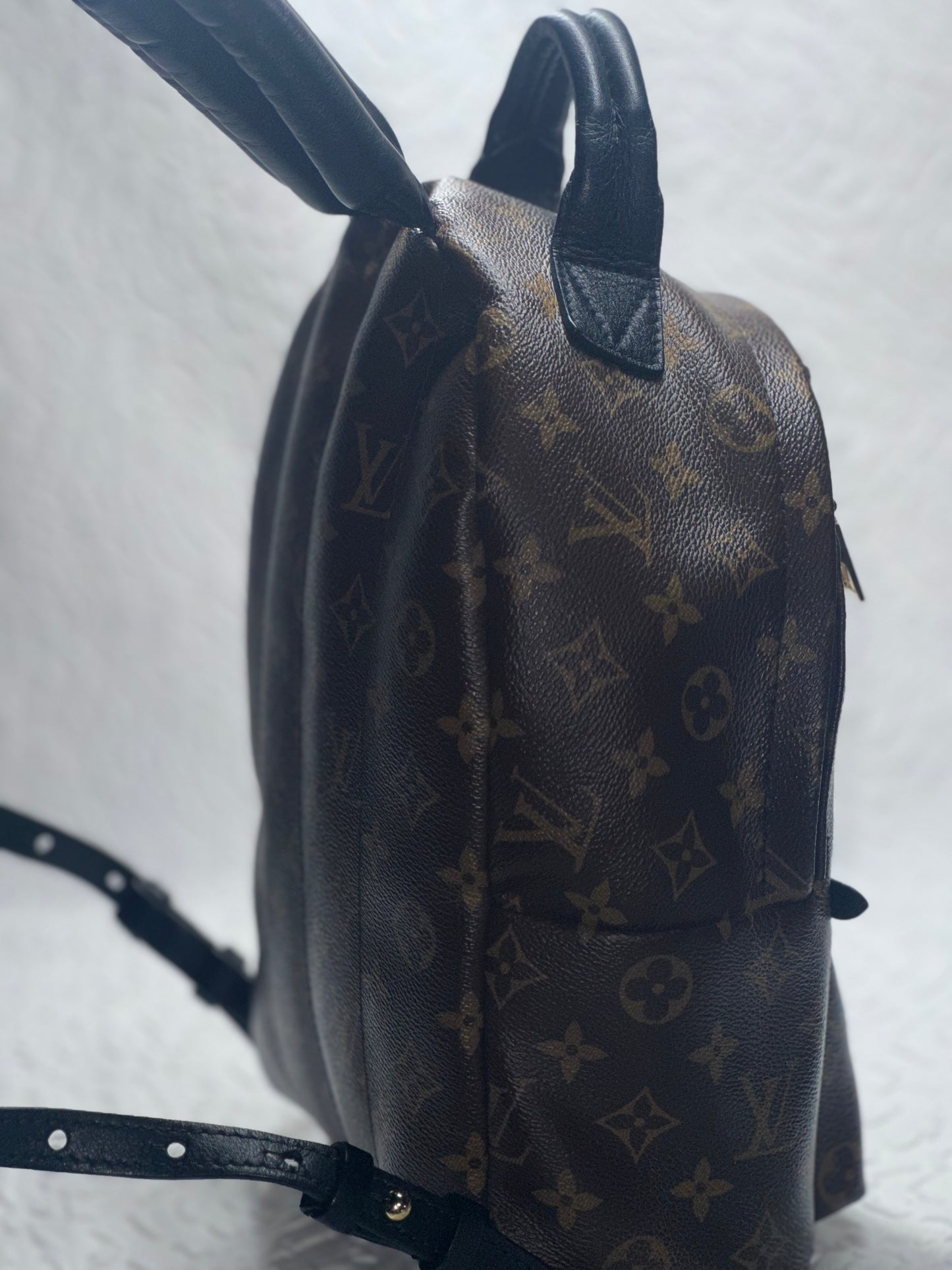 Louis Vuitton Palm Spring PM