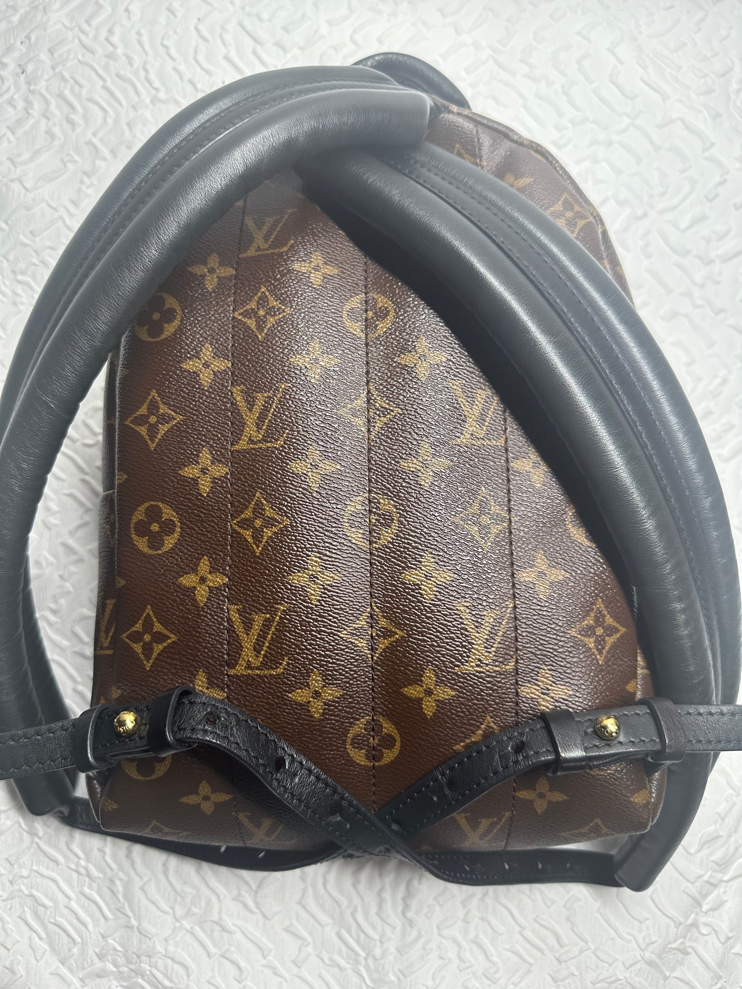 Louis Vuitton Palm Spring PM