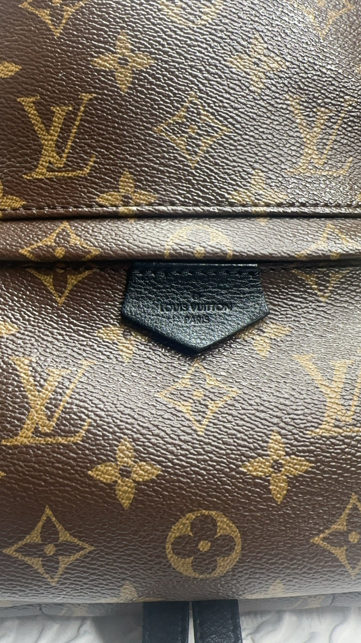 Louis Vuitton Palm Spring PM