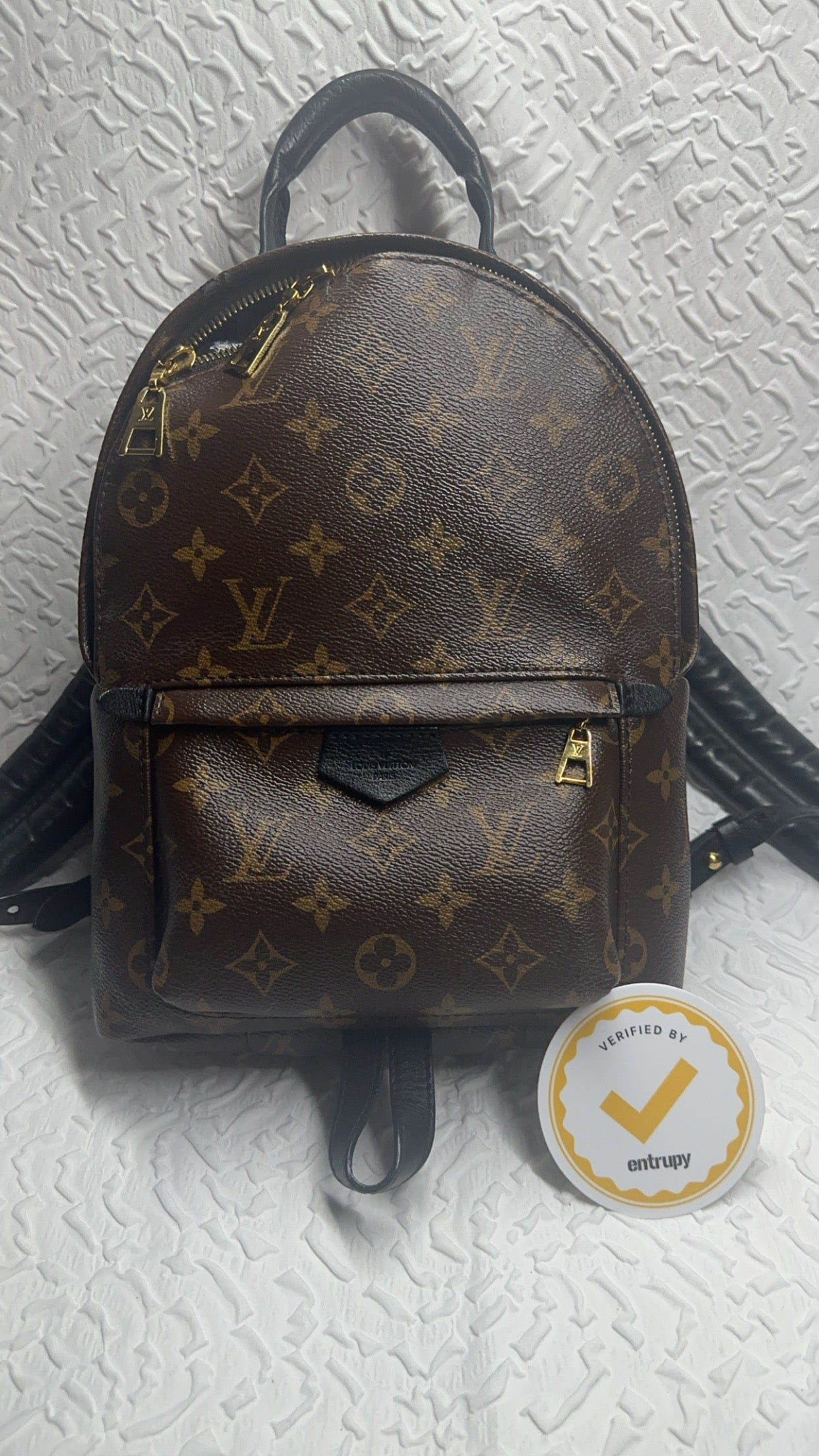 Louis Vuitton Palm Spring PM