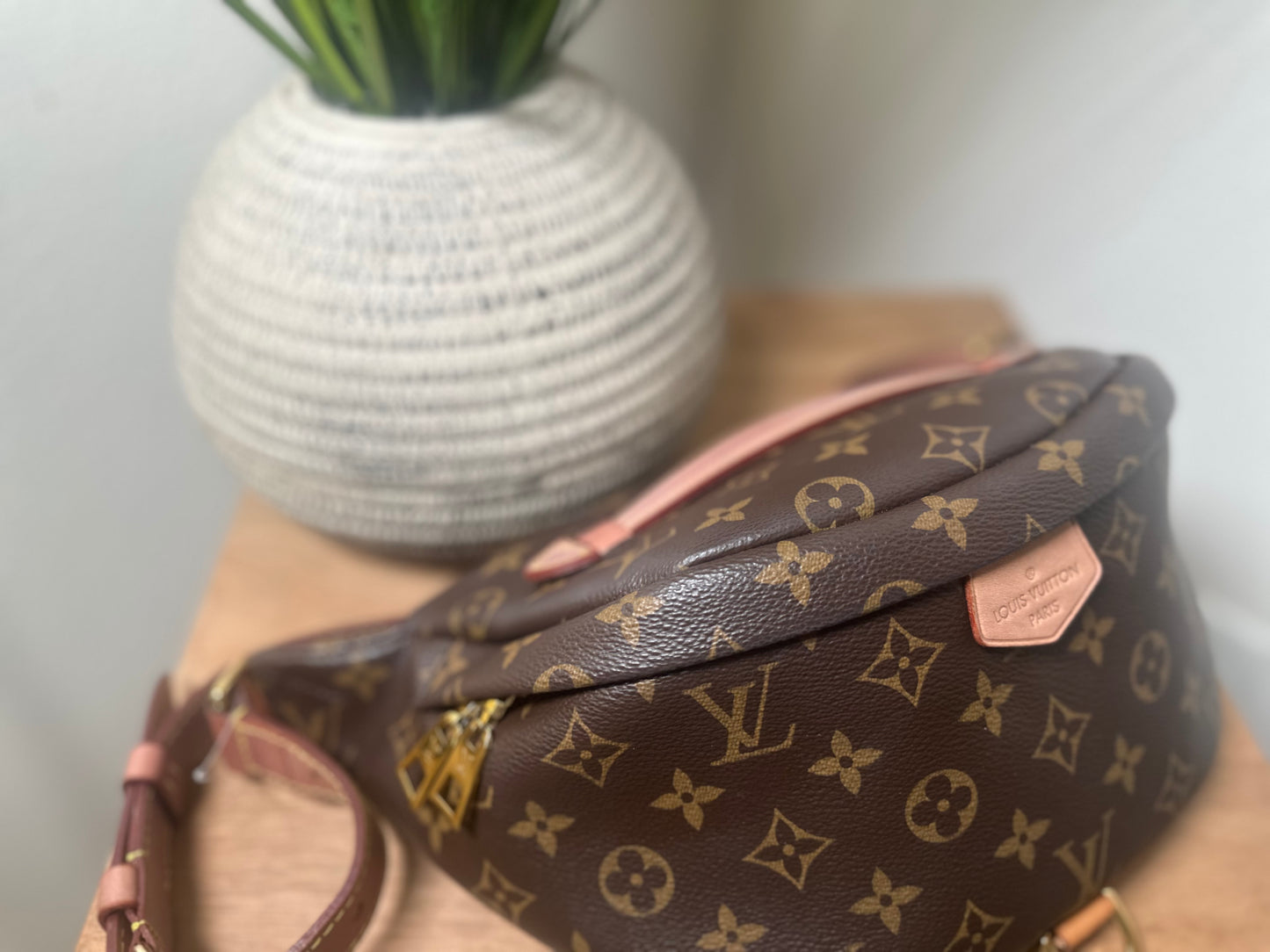 LOUIS VUITTON Monogram Bumbag