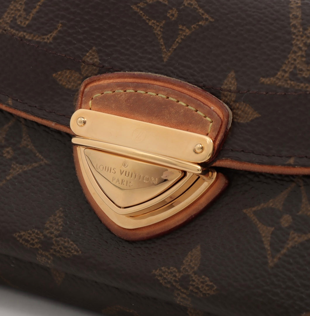 Louis Vuitton Astrid Wallet / crossbody