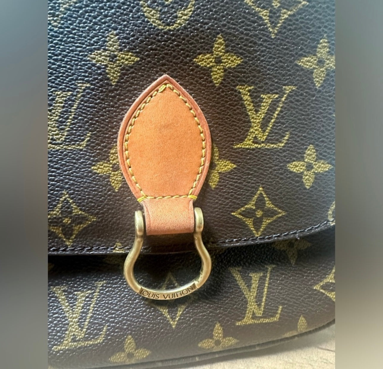 Louis Vuitton Saint Cloud Bag vintage